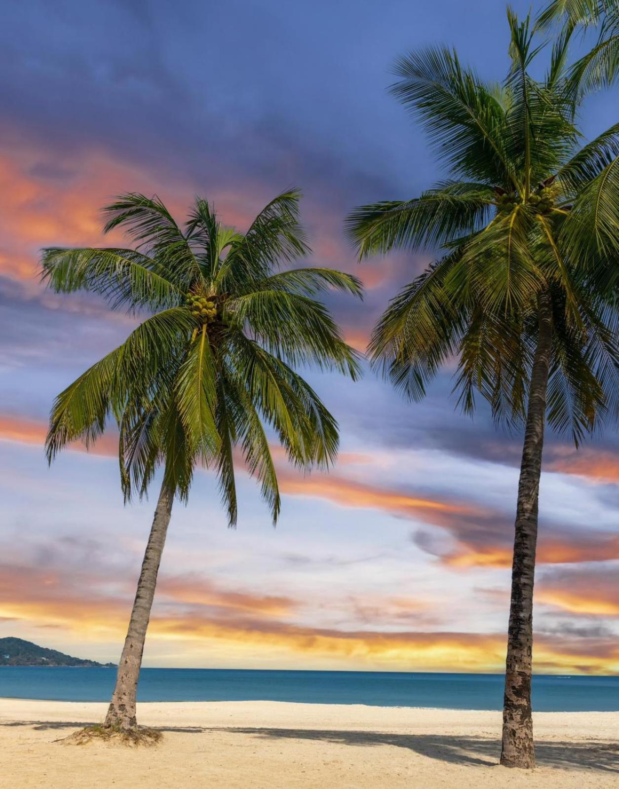 Fundee Boutique Hotel Patong Eksteriør bilde
